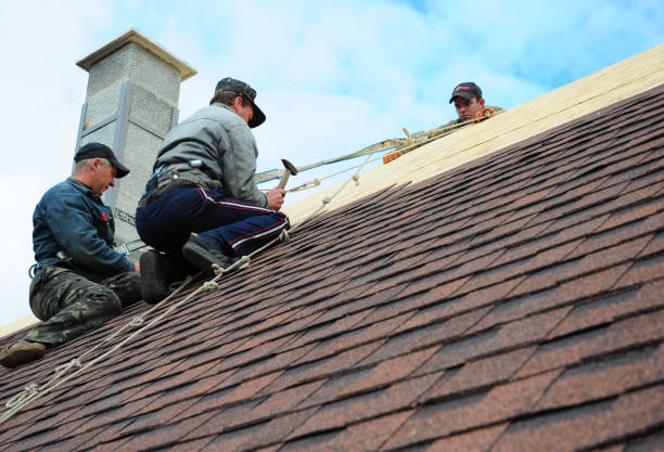 Best Roof Gutter Cleaning  in Solvang, CA
